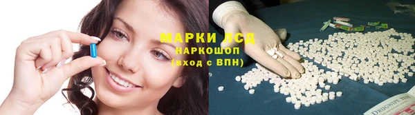 дживик Абинск