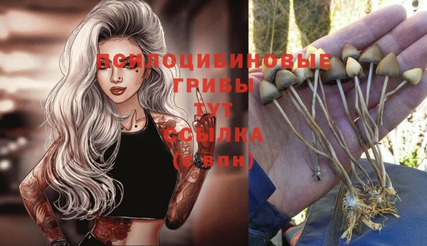 прущая мука Абдулино