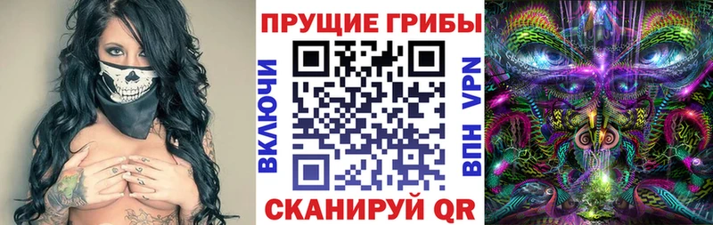 Галлюциногенные грибы Psilocybine cubensis  Кяхта 