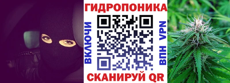 Канабис OG Kush  Кяхта 